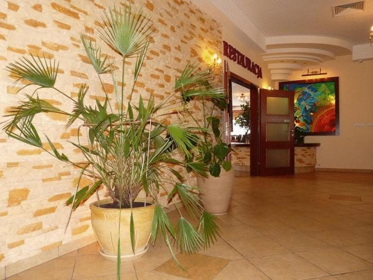 Zajazd Sokol Hotel Nienadowka ภายนอก รูปภาพ